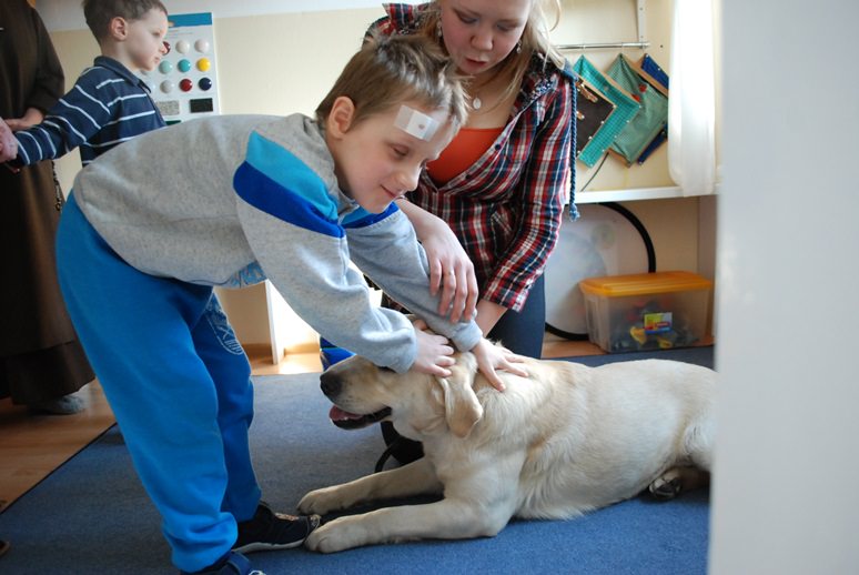 Niewidomy chłopiec głaszcze psa podczas zajęć z dogoterapii