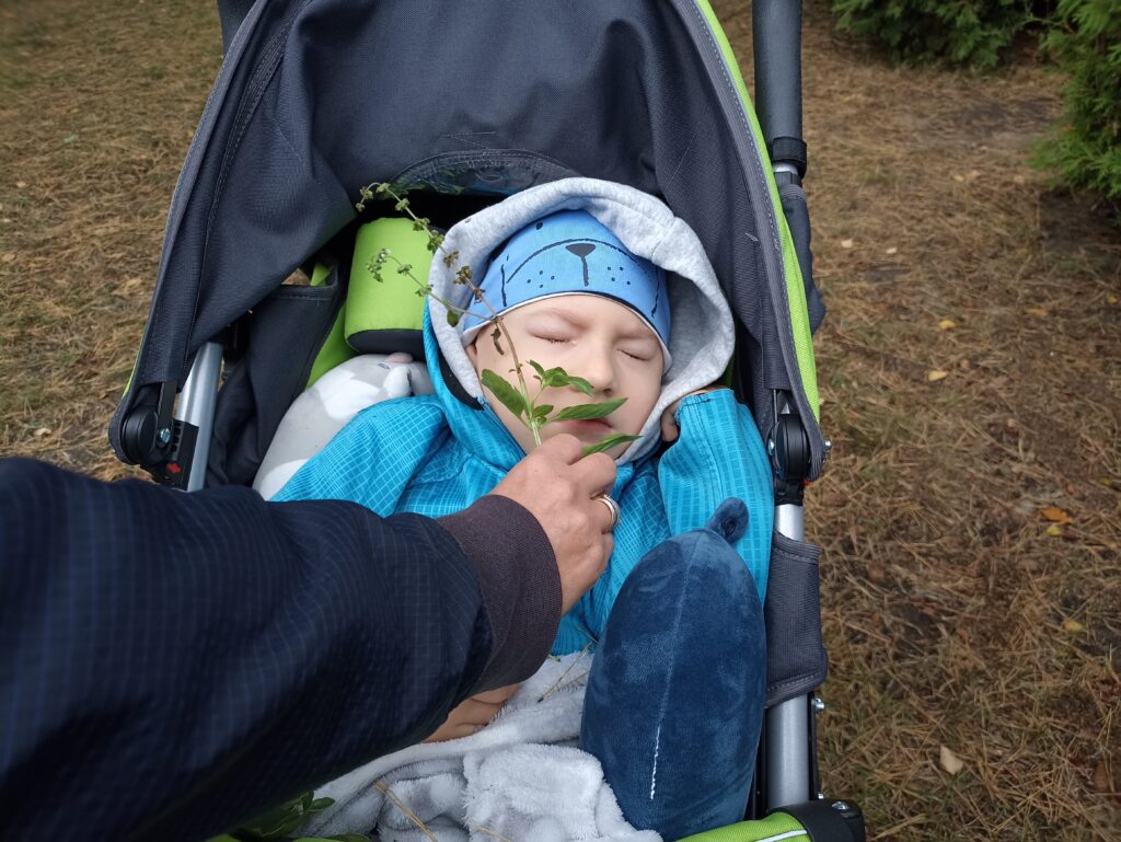 Chłopiec wącha zioła z ogrodu.