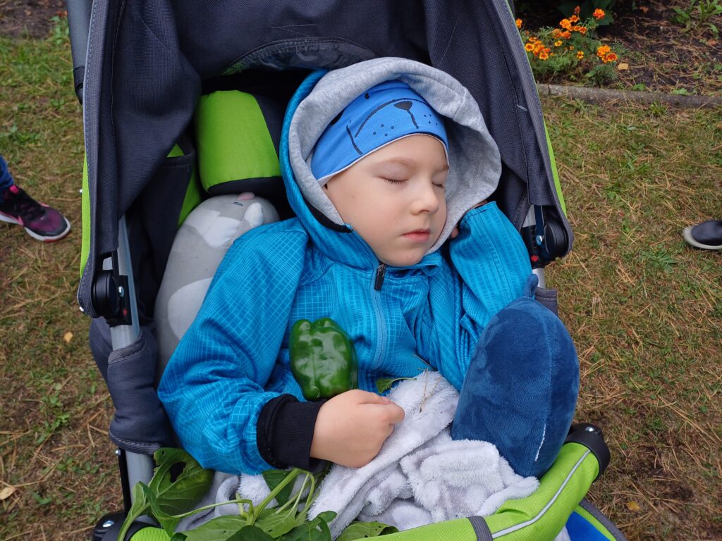 Chłopiec dotyka zieloną paprykę.