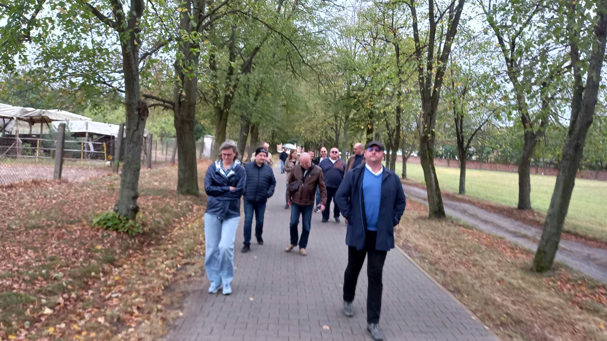 Spacer lipówką.