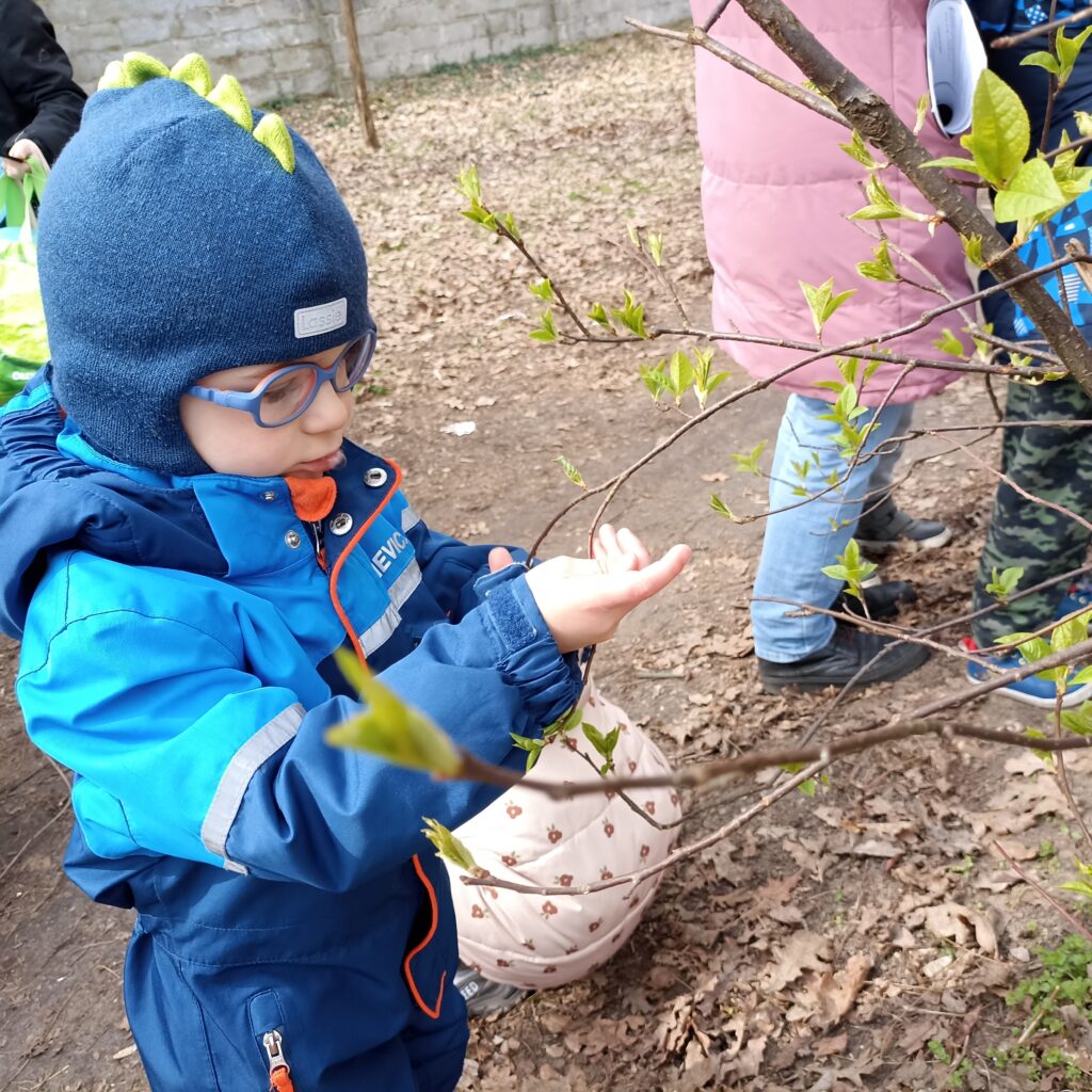Chłopiec ogląda młode listki na gałęzi.
