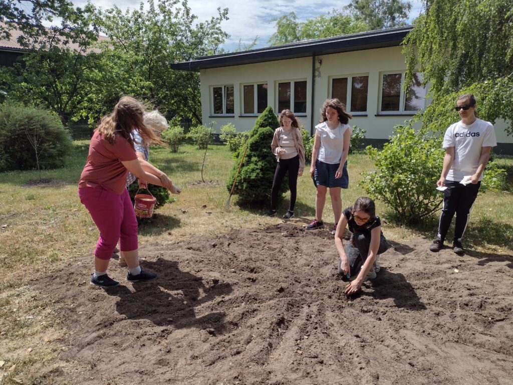 Uczniowie sieją ziarna kwiatów.