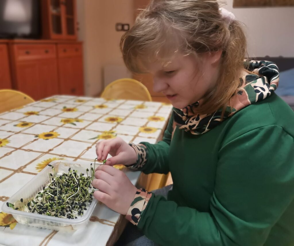 Polina sprawdza przyrost kiełków