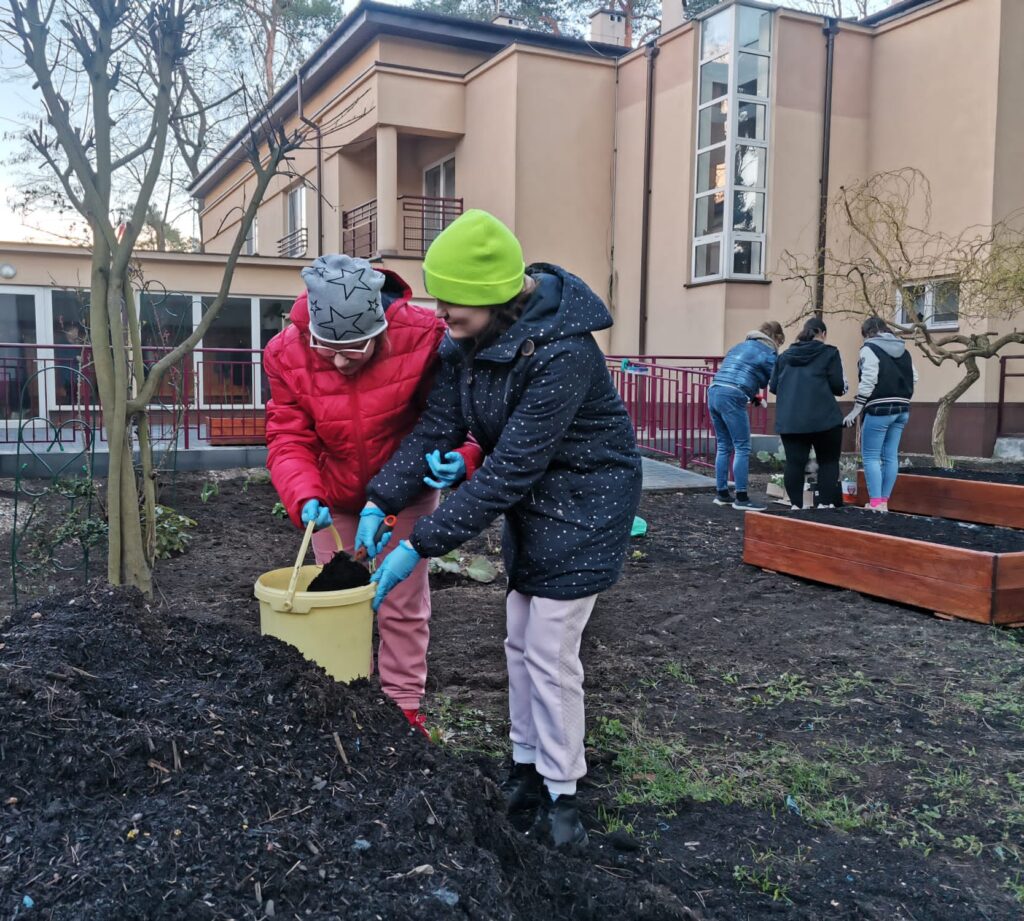 Dziewczęta przenoszą ziemię do  drewnianej skrzyni