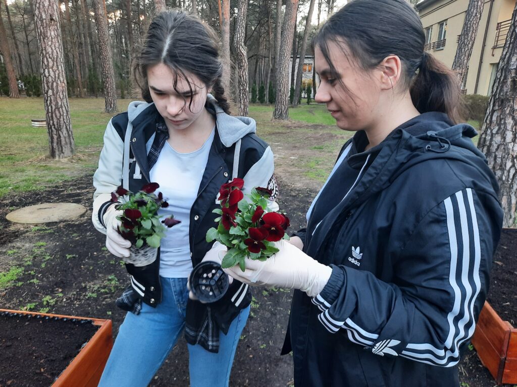 Marharyta i Ola wyjmują sadzonki kwiatów z doniczek