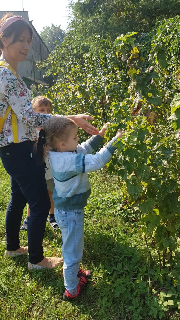 Dzieci z nauczycielką oglądają liście porzeczki.