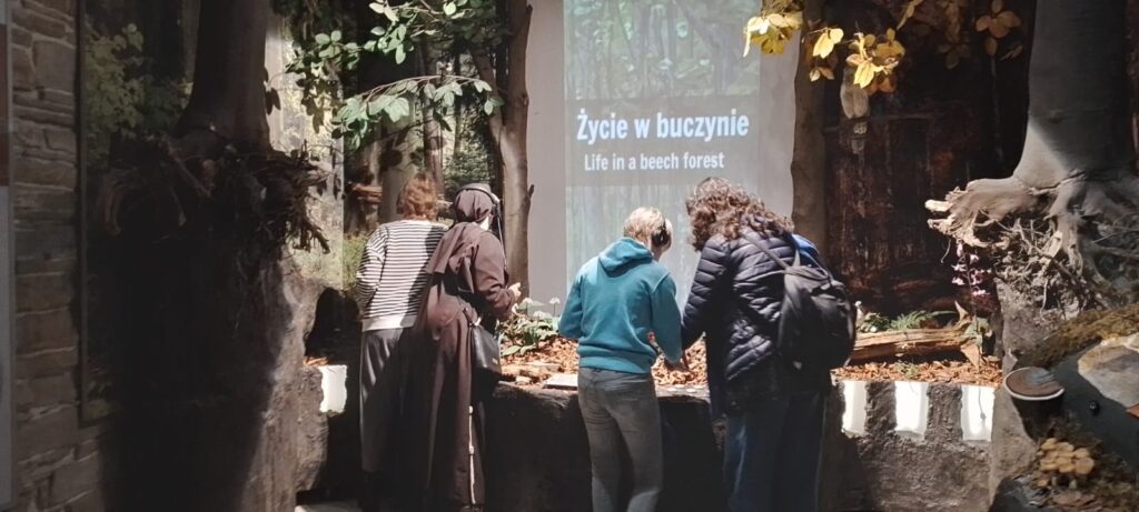 W Muzeum przed eksponatami związanymi z życiem w buczynie