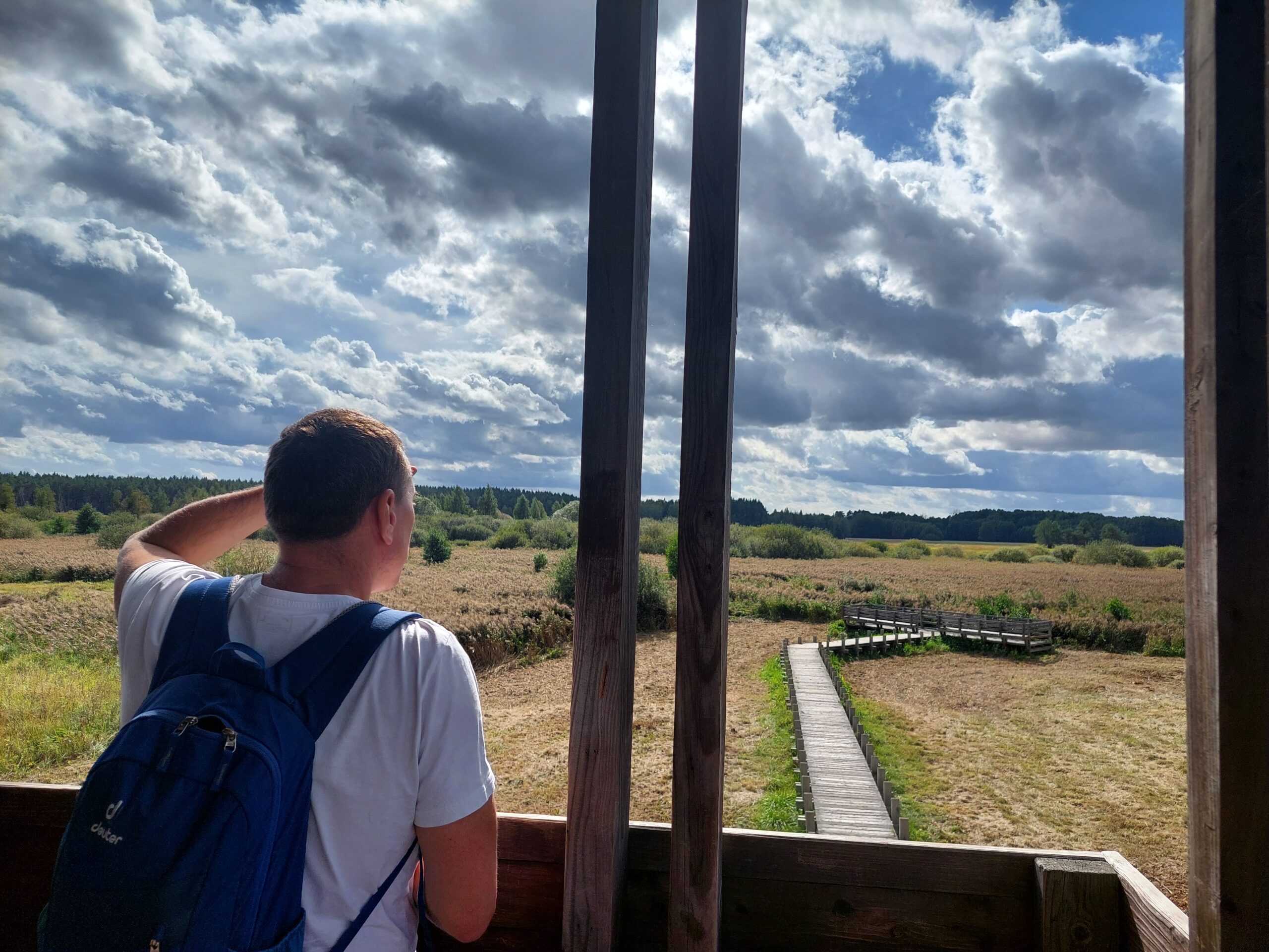 Widok na kampinoskie łąki