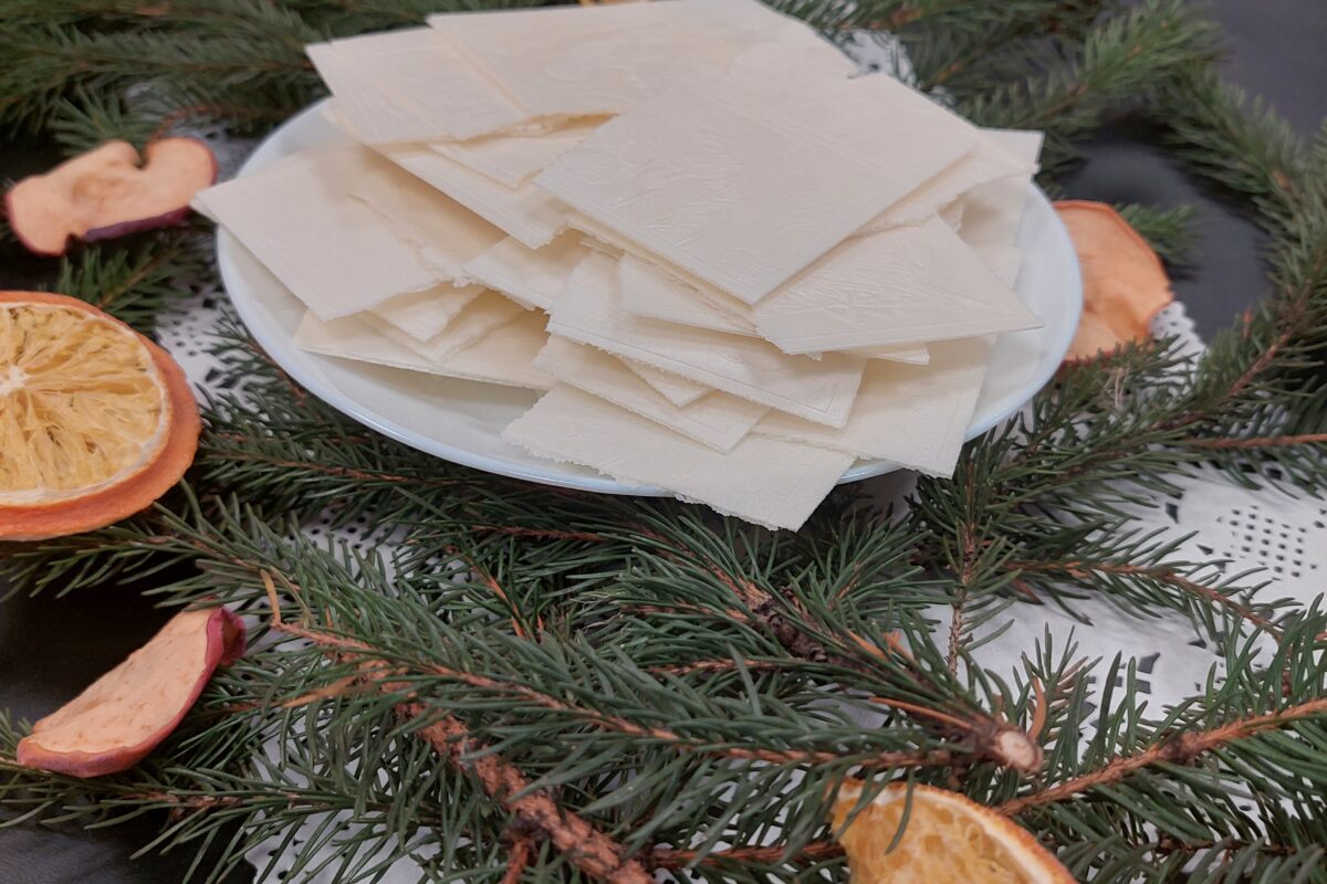 opłatki na gałązce świerku