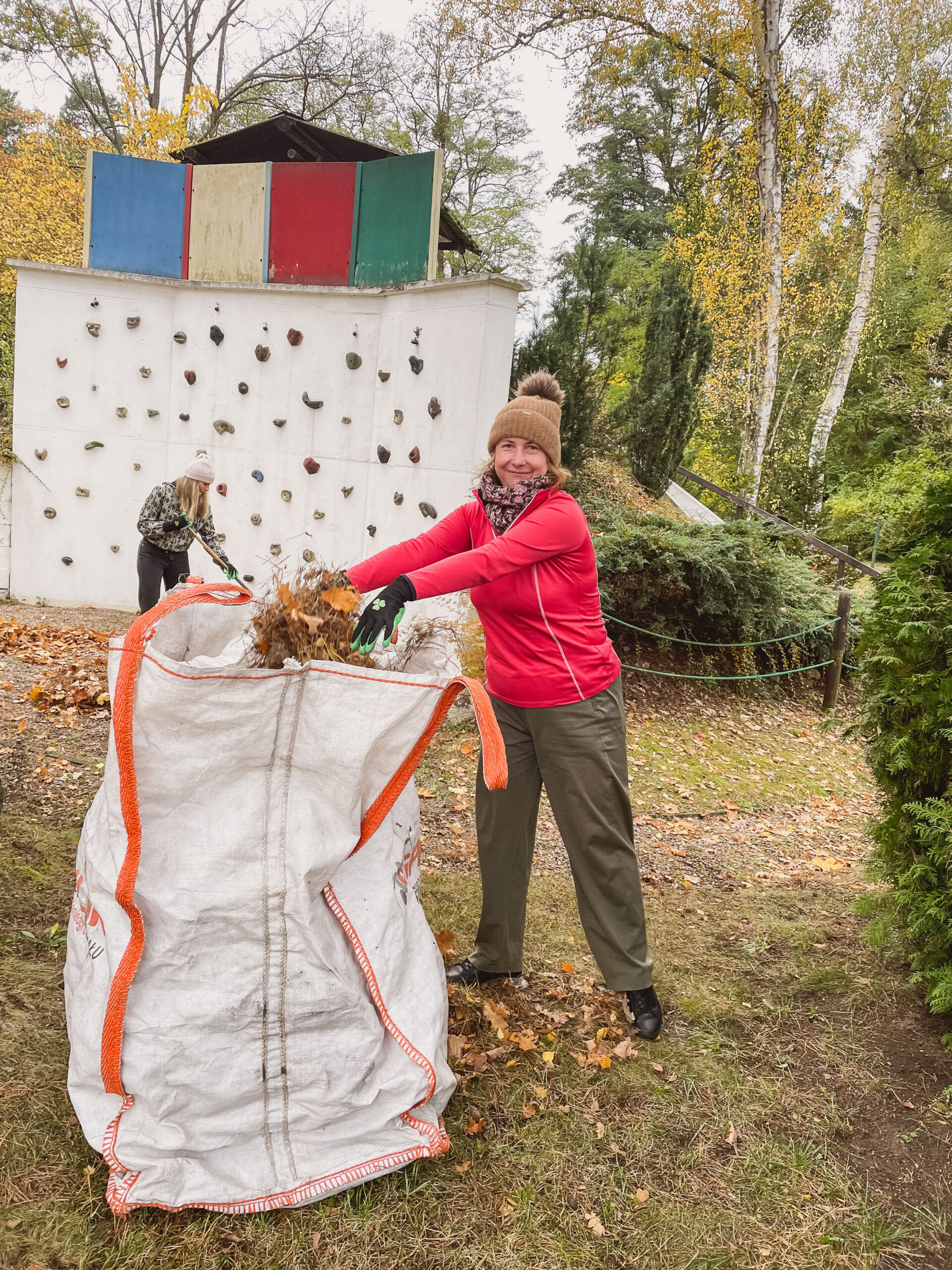 Wolontariuszka wrzuca zgrabione liście do wora.